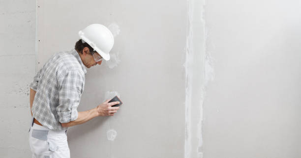 Best Attic Mold Removal  in Sauk Centre, MN