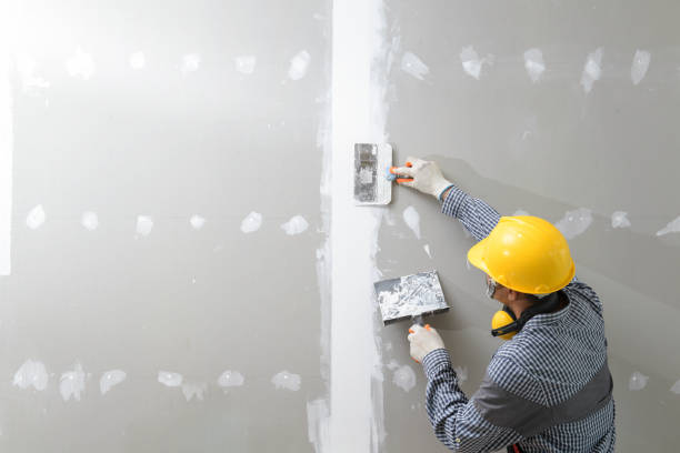 Best Commercial Mold Inspection  in Sauk Centre, MN