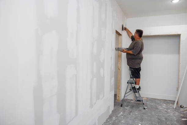  Sauk Centre, MN Mold Removal Pros