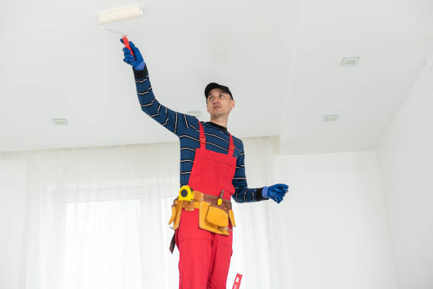Reliable Sauk Centre, MN Mold Removal Solutions