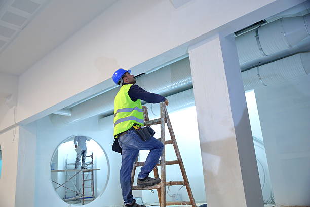 Best Black Mold Removal  in Sauk Centre, MN