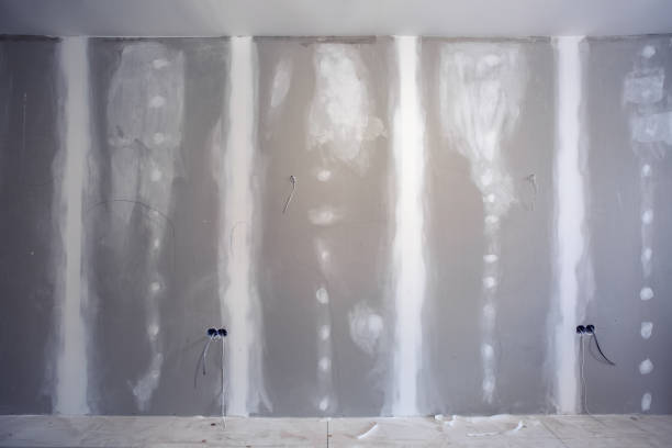 Best Mold Removal for HVAC Installations  in Sauk Centre, MN